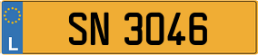 Truck License Plate